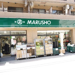 ラフォルム神楽坂 4階 を写真84枚で紹介 仲介手数料最大無料のリンネ